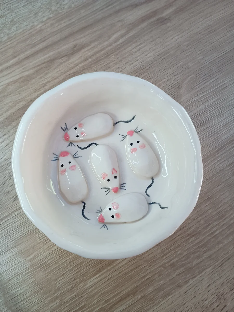 gamelle anti-glouton pour chat