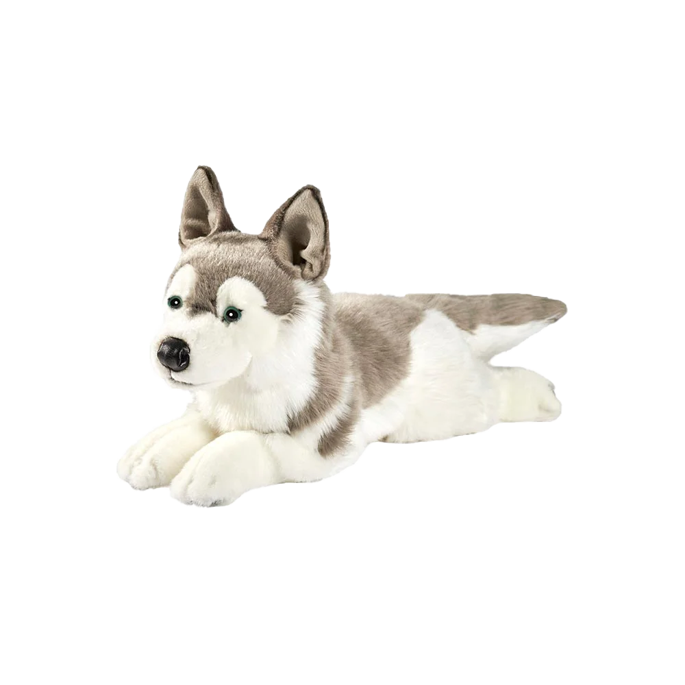 Peluche Husky Couché 42cmL - Anima