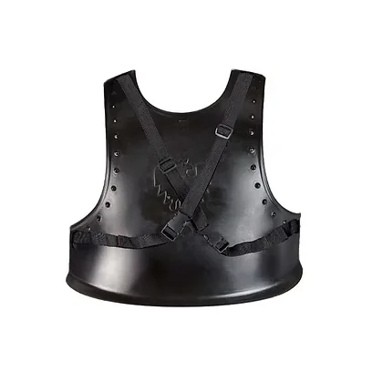 Déguisement enfant Armure Roland Souza