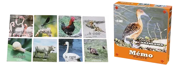 Jeu de cartes - Memory - Jeux FK