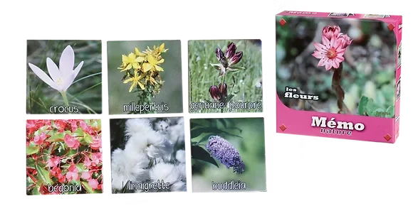 Memory Fleurs - Jeux FK