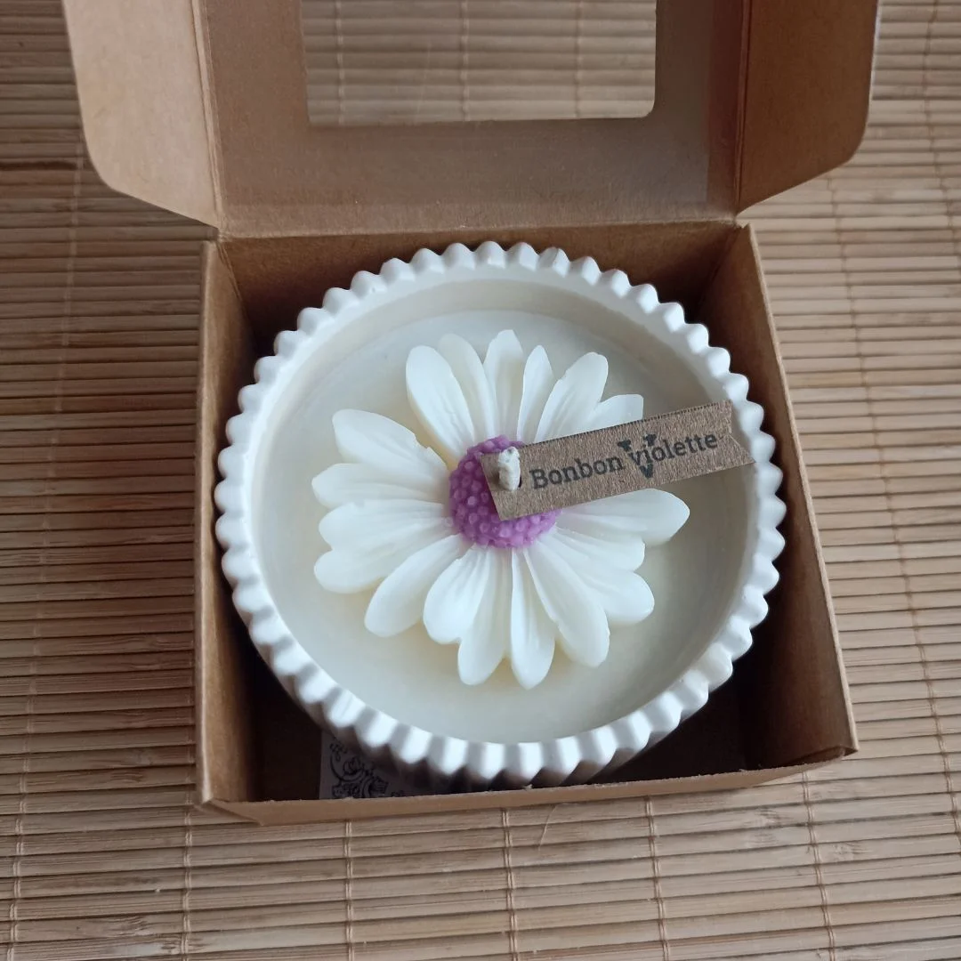 la Marguerite en pot