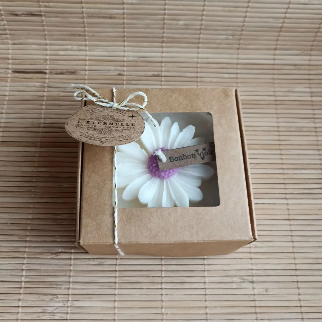 la Marguerite en pot