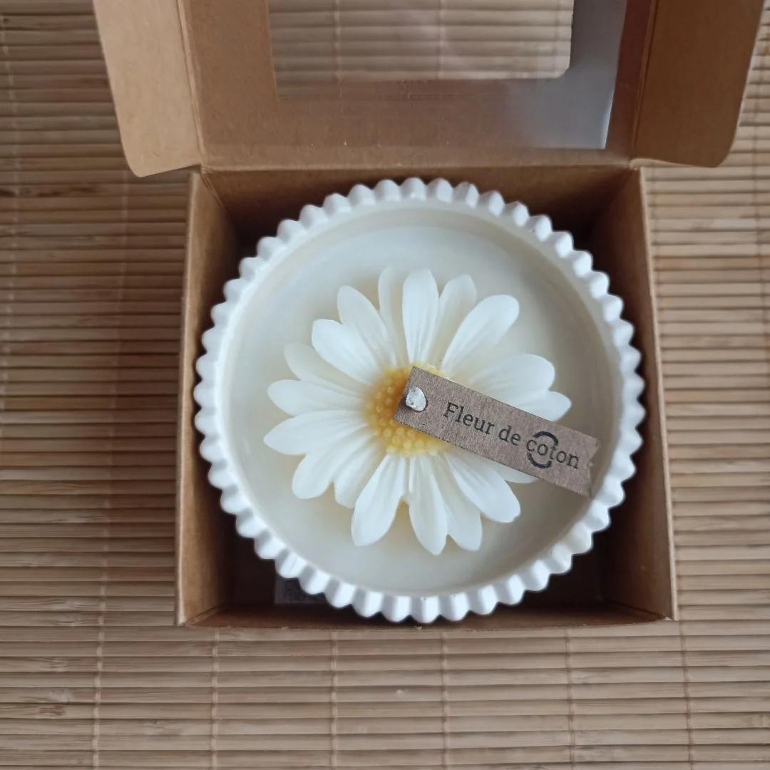la Marguerite en pot