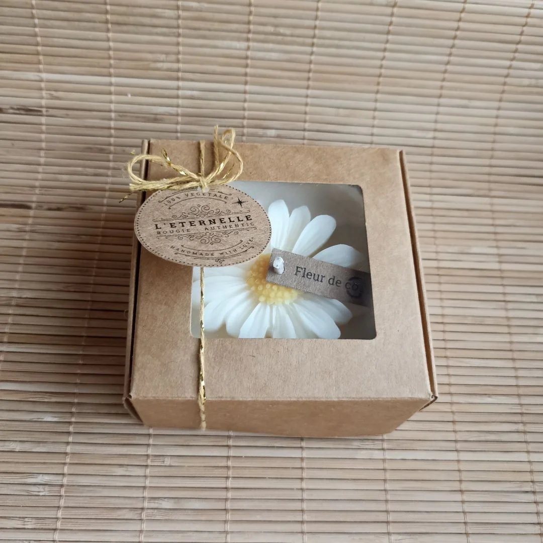 la Marguerite en pot
