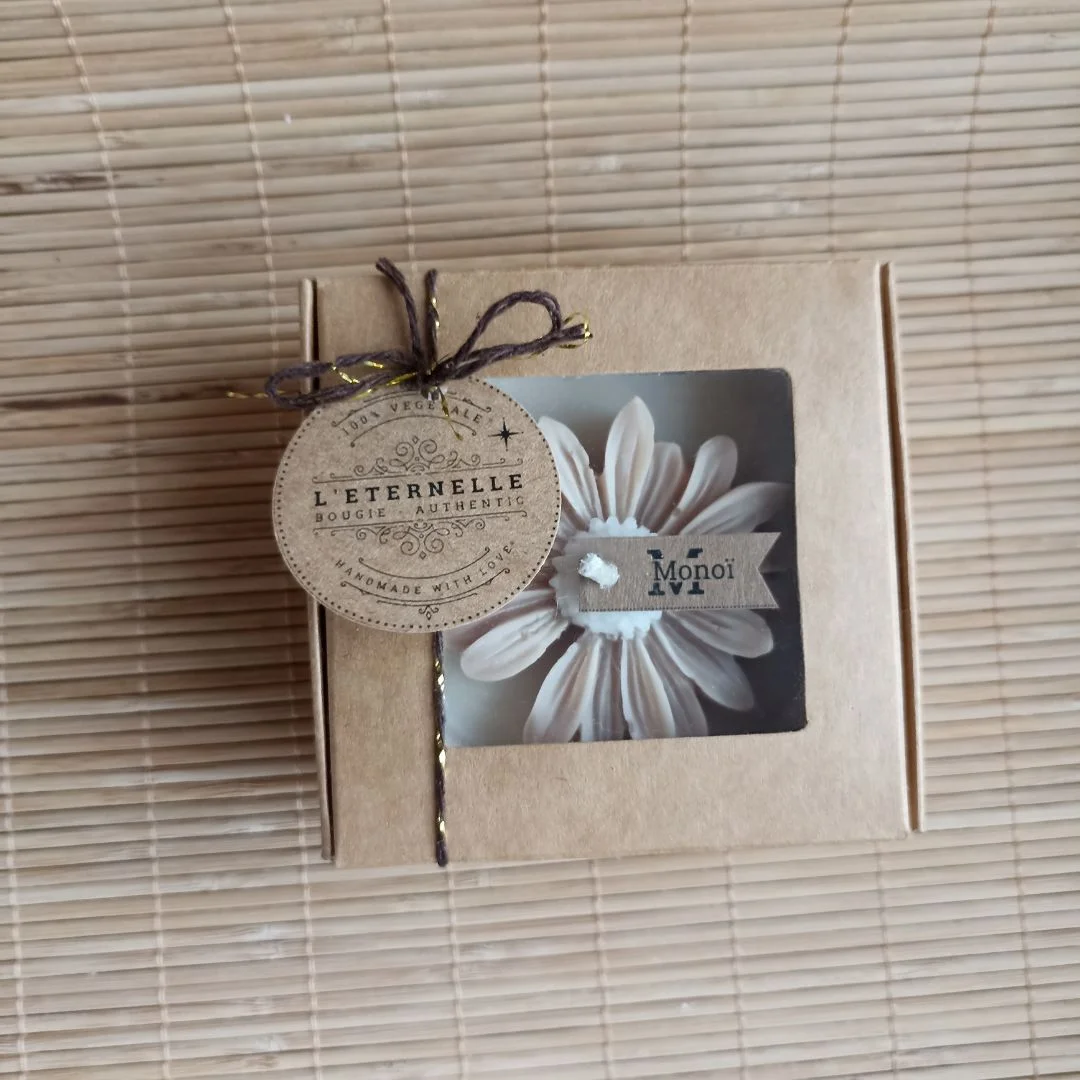 la Marguerite en pot