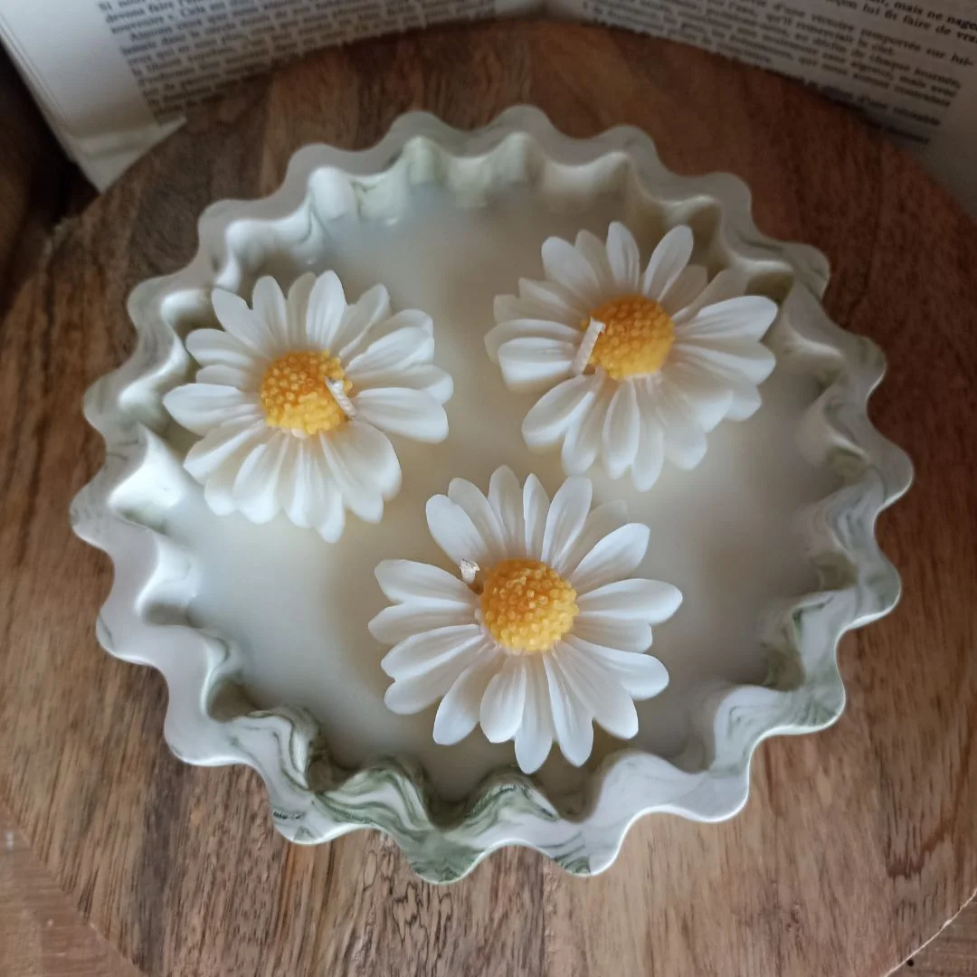 Le Trio de Marguerites en pot